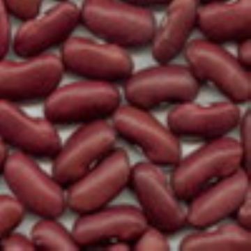 Dark Red Kidney Beans